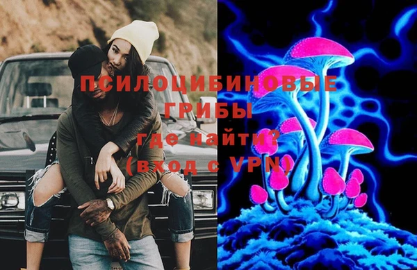 крисы Магас