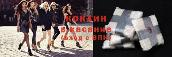 крисы Магас