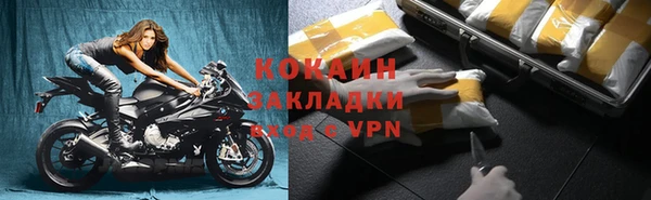 крисы Магас