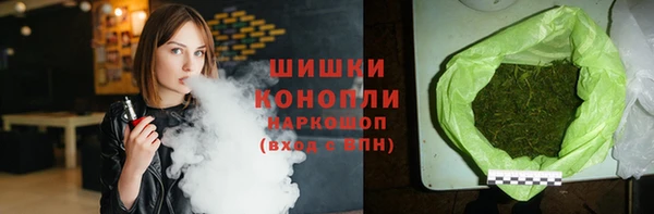 крисы Магас