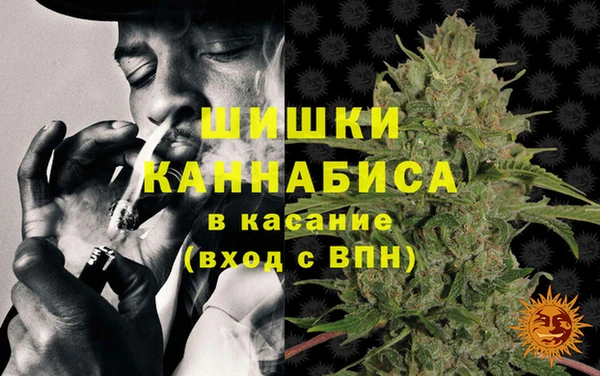 крисы Магас
