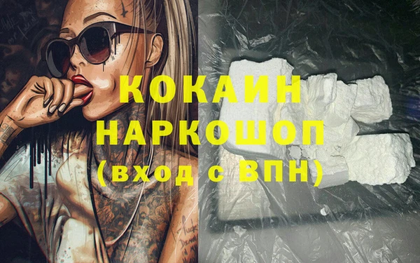 крисы Магас