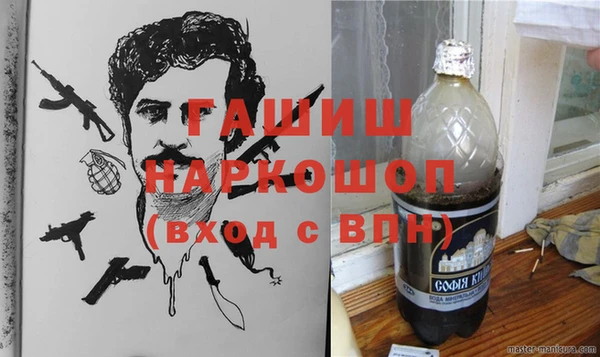 крисы Магас
