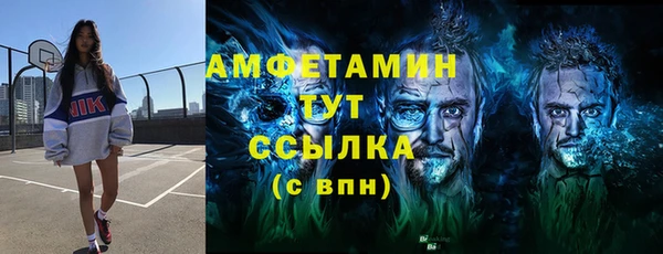 крисы Магас
