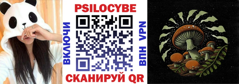 Галлюциногенные грибы MAGIC MUSHROOMS  сколько стоит  Химки 