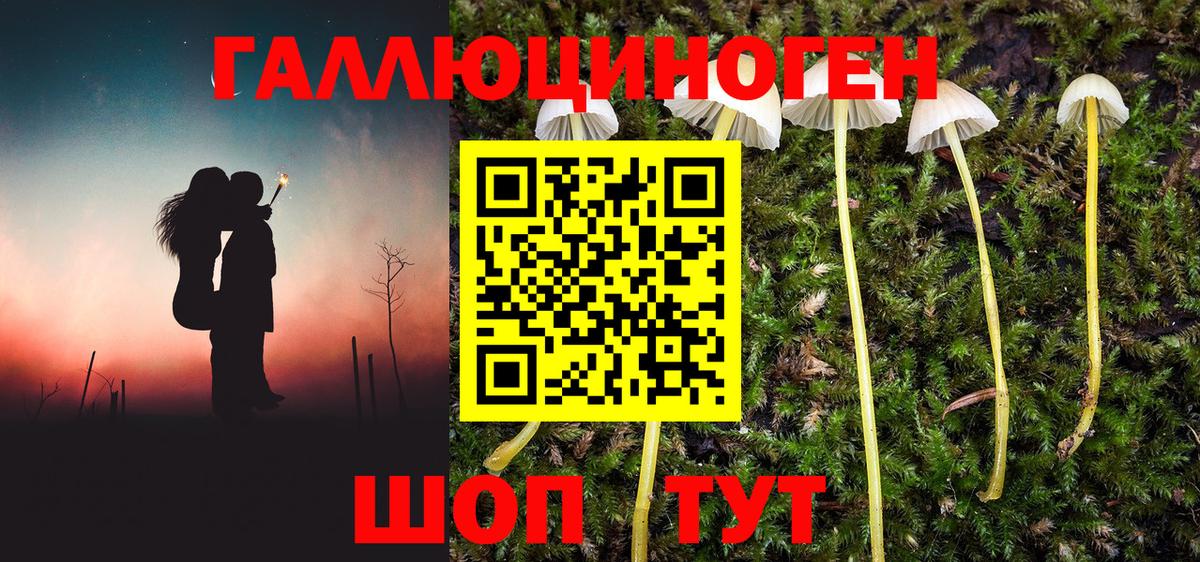 Галлюциногенные грибы Magic Shrooms  Химки  магазин    Галлюциногенные грибы MAGIC MUSHROOMS 