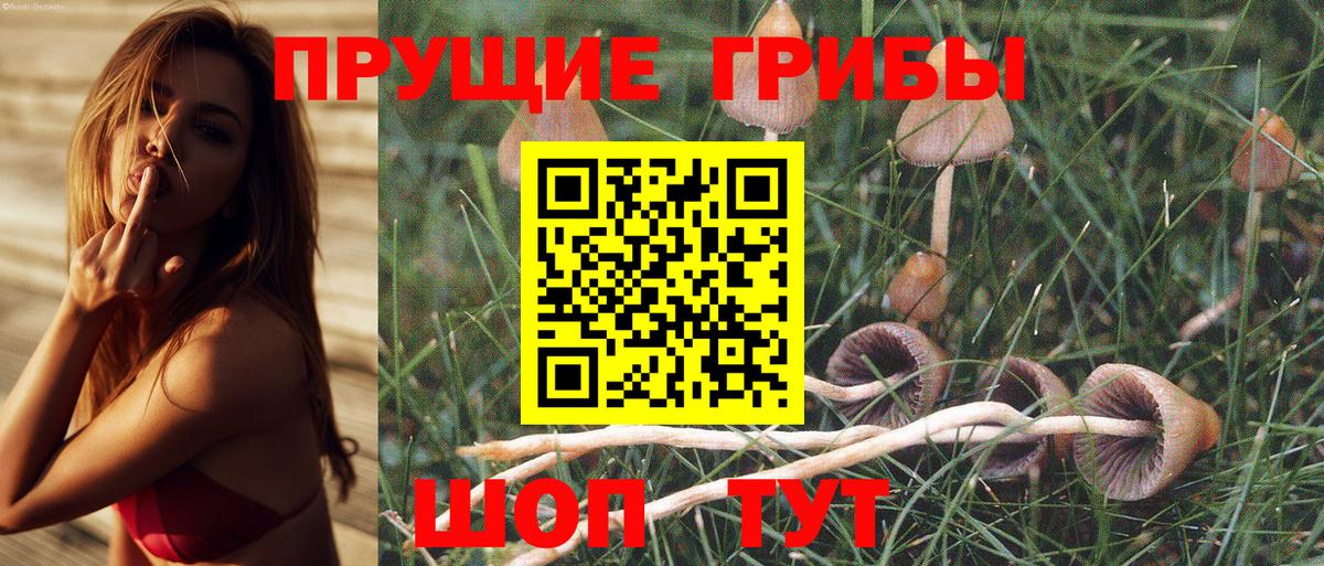 Галлюциногенные грибы MAGIC MUSHROOMS  Вход с VPN  Химки  Галлюциногенные грибы MAGIC MUSHROOMS 